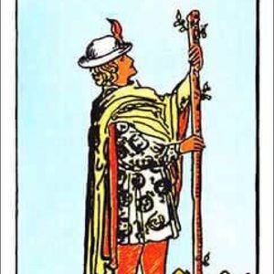 Meet your Posher, Ryley